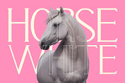 Calvarra - Modern Serif Font, a Serif Font by Rishsketch (Thumbnail 2 of 14)