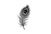 Peacock Feather Silhouette Bundle, an Illustration by jahid234 (Thumbnail 2 of 31)