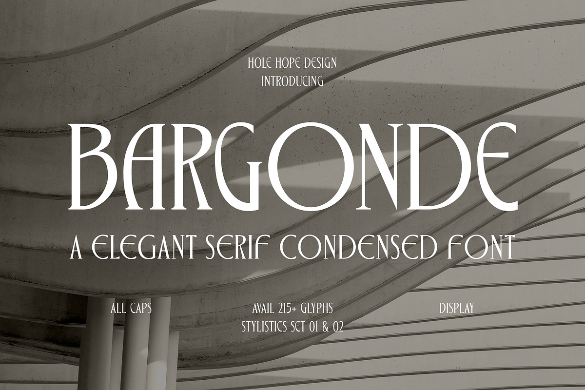 Bargonde | Elegant Serif Condensed, a Serif Font by Hole Hope Design (Photo 2 of 20)