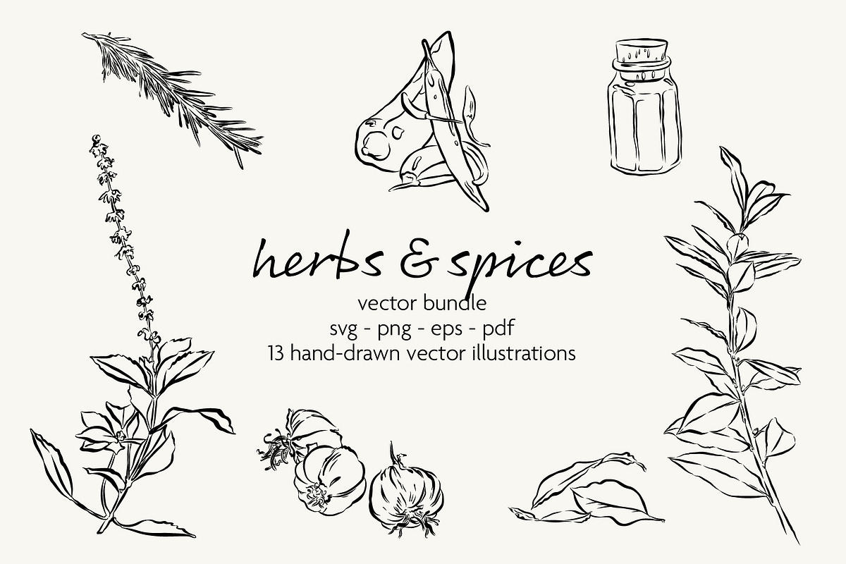Herbs & Spices Vector Bundle, a Food Illustration by Little Gremlin (Photo 1 of 10)