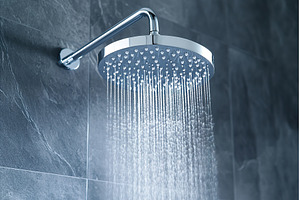 Modern Round Chrome Shower Head with, a Nature Photo by Lermont51