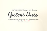 Holines a monoline script font, a Script Font by Fontcastle (Thumbnail 5 of 7)
