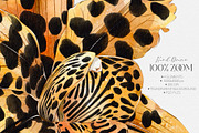Leopard Bloom - Patterns & Motifs, a Pattern Graphic by Alisa Fimen Design (Thumbnail 5 of 11)