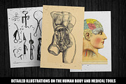 100 Vintage Medical Illustrations, a Healthcare Illustration by Dene Studios (Thumbnail 2 of 7)