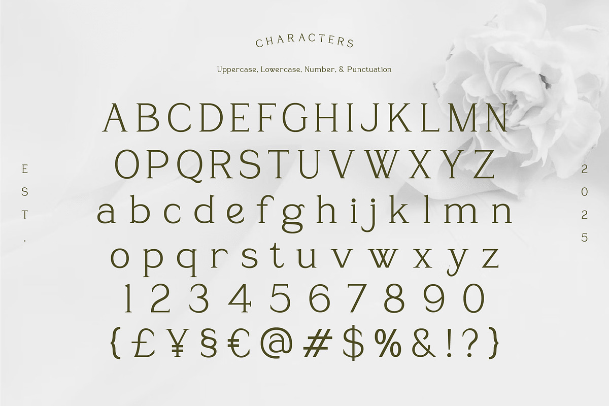 Sevoilla – Elegant Serif Typeface, a Serif Font by Vadovastd (Photo 7 of 7)