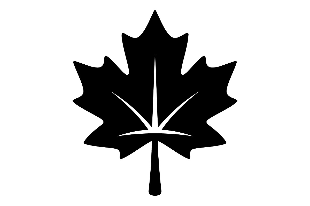 Maple Leaf Oak Leaf Autumn, an Object Graphic by Gfx_Store (Photo 2 of 15)