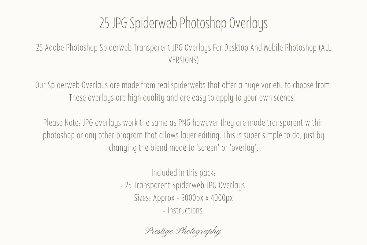 Spiderweb Photoshop Overlays, an Object Graphic by Prestige Photography (Photo 14 of 14)