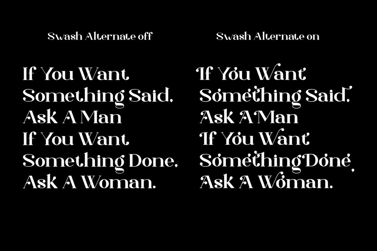 Mugiwara Swashy Serif, a Serif Font by Typegoals Studio (Photo 6 of 9)