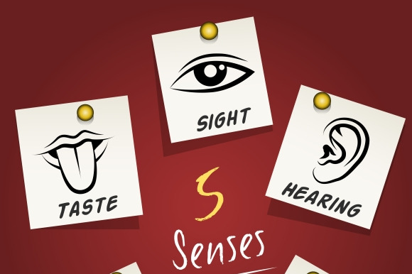 Set Of Senses Icons On Sticky Notes