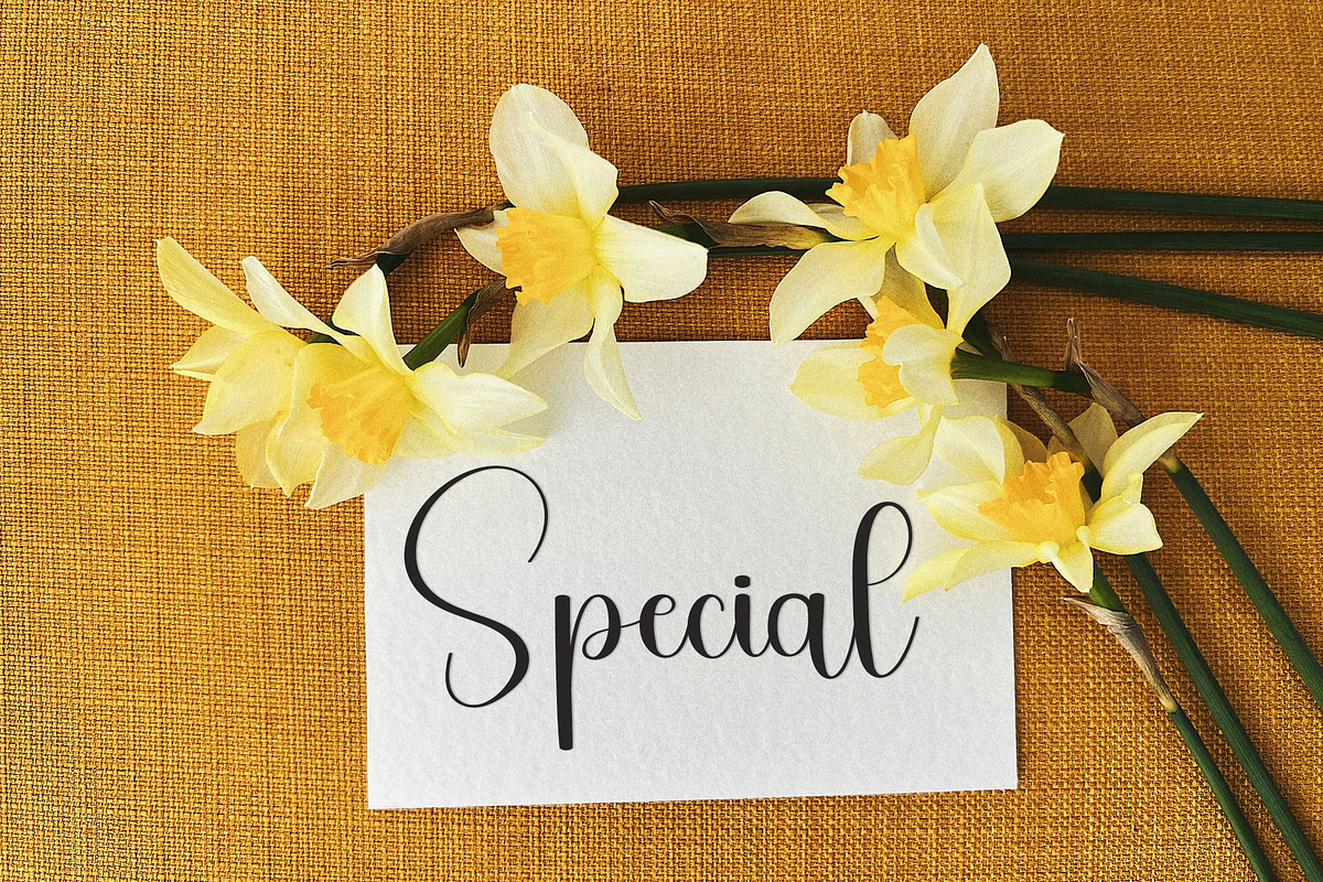 Autumn, a Handwritten Font by FreshTypeINK (Photo 8 of 8)