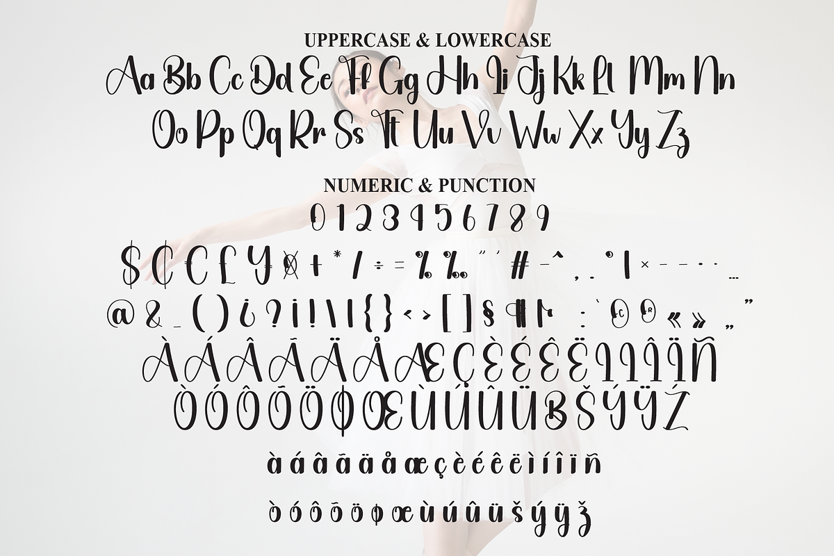 Ballerina | Script Font, a Handwritten Font by Scratchones (Photo 7 of 9)