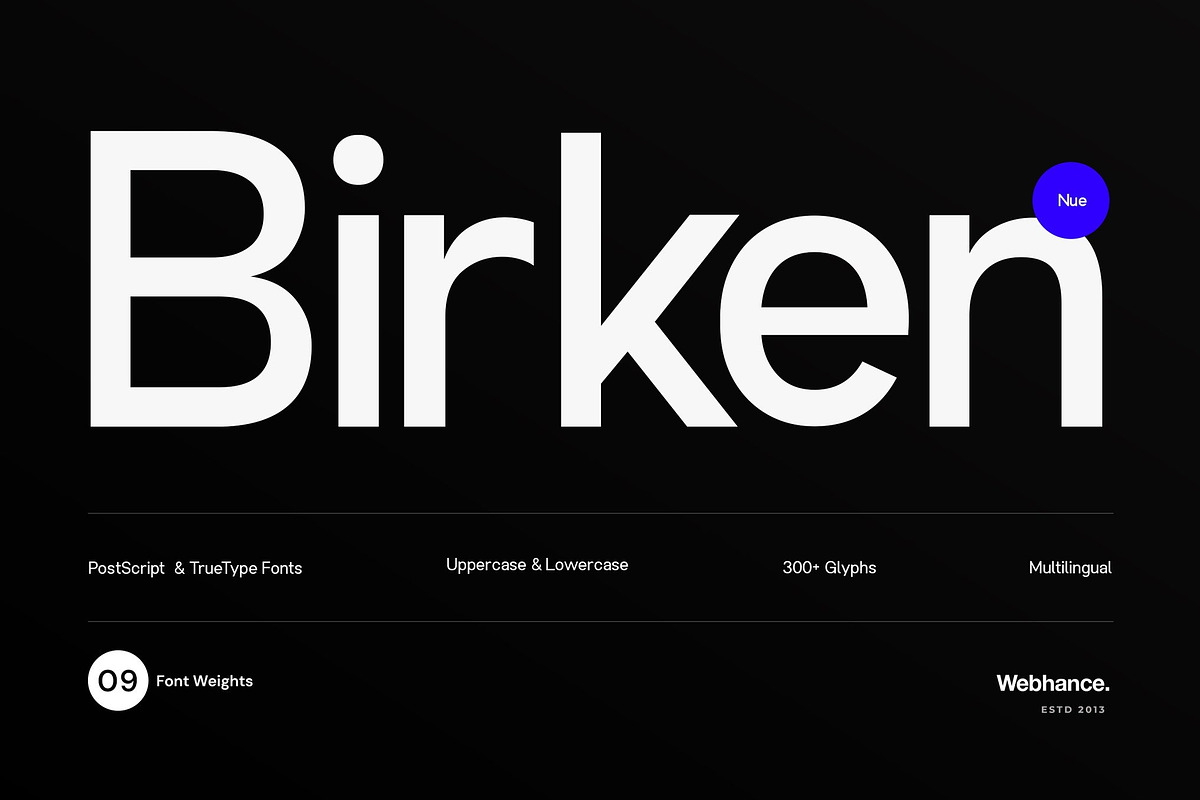 Birken Nue - A Minimal Sans-Serif, a Sans Serif Font by Webhance Studio (Photo 1 of 12)