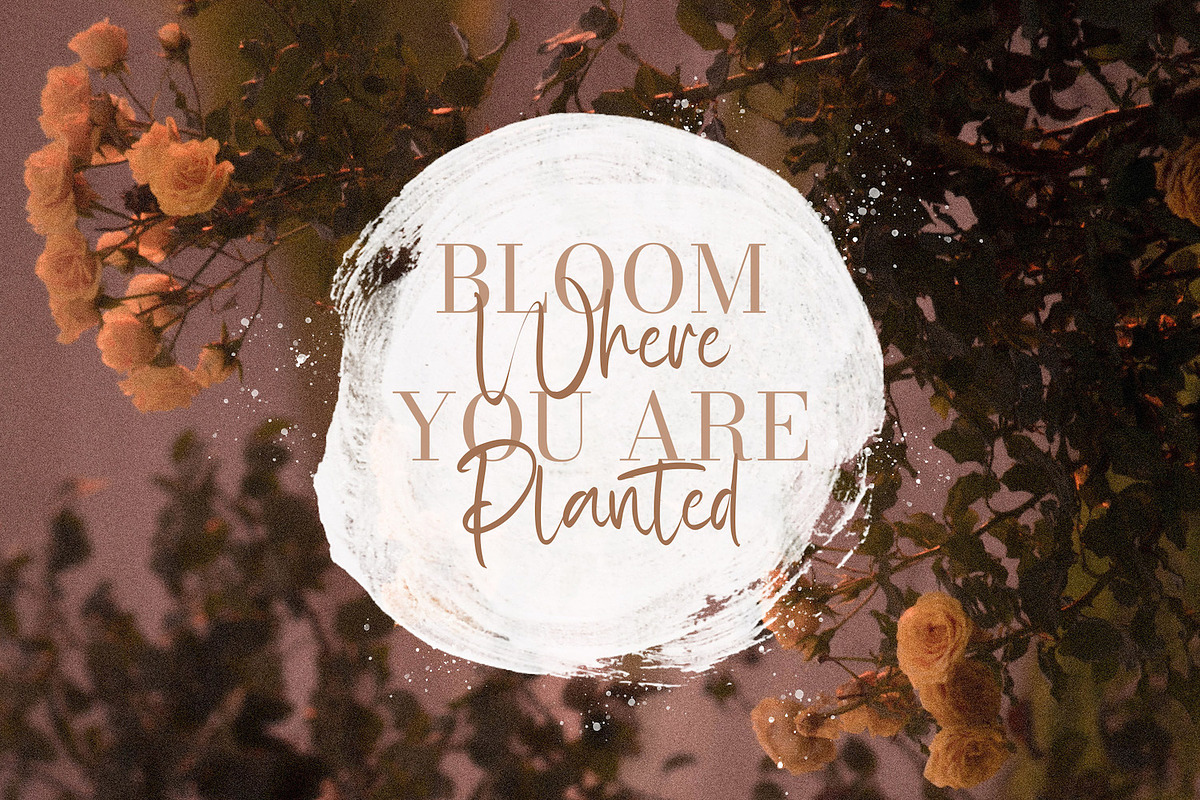 Rattfiny Script - Signature Font, a Script Font by StringLabs (Photo 10 of 13)