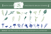 Gouache Procreate Brush Stamps & PNG, a Brush Add-On by Gabba Delgado (Thumbnail 4 of 6)