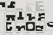 TA Albatross, a Slab Serif Font by TAFT Foundry (Thumbnail 9 of 16)