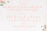 Abilane - Elegant Calligraphic Font, a Script Font by Typefactoryco (Thumbnail 2 of 10)