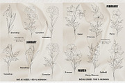 Birth FLOWER Stamps Jan-June, a Brush Add-On by CaraulanStore (Thumbnail 2 of 5)