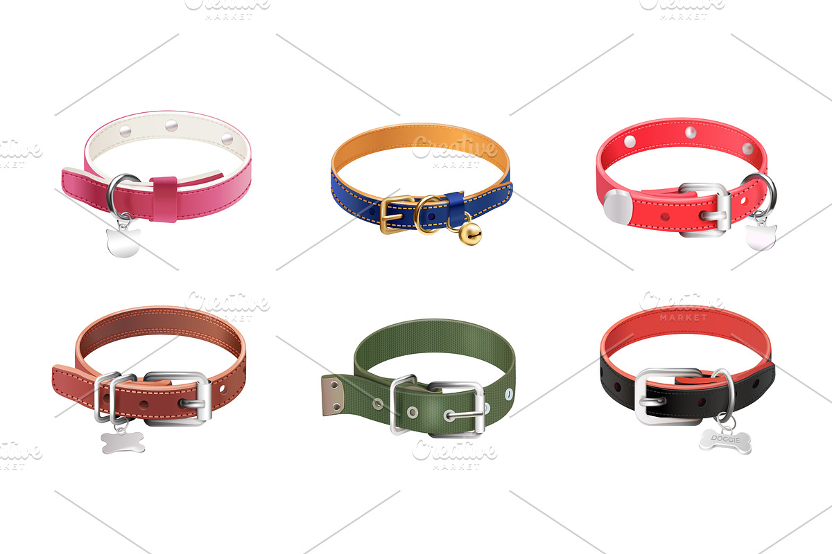 Realistic dog collar. Isolated, an Object Illustration by Stock-Smart-Start