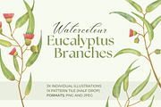 Watercolour Eucalytpus Branches, a Decorative Illustration by Fern & Quill (Thumbnail 1 of 5)