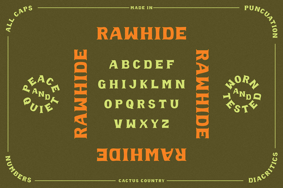 Rawhide Display Font, a Serif Font by Cactus Country (Photo 3 of 5)