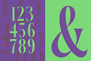 Kushers Modern Serif Display Font, a Serif Font by timelesstype.co (Thumbnail 9 of 20)