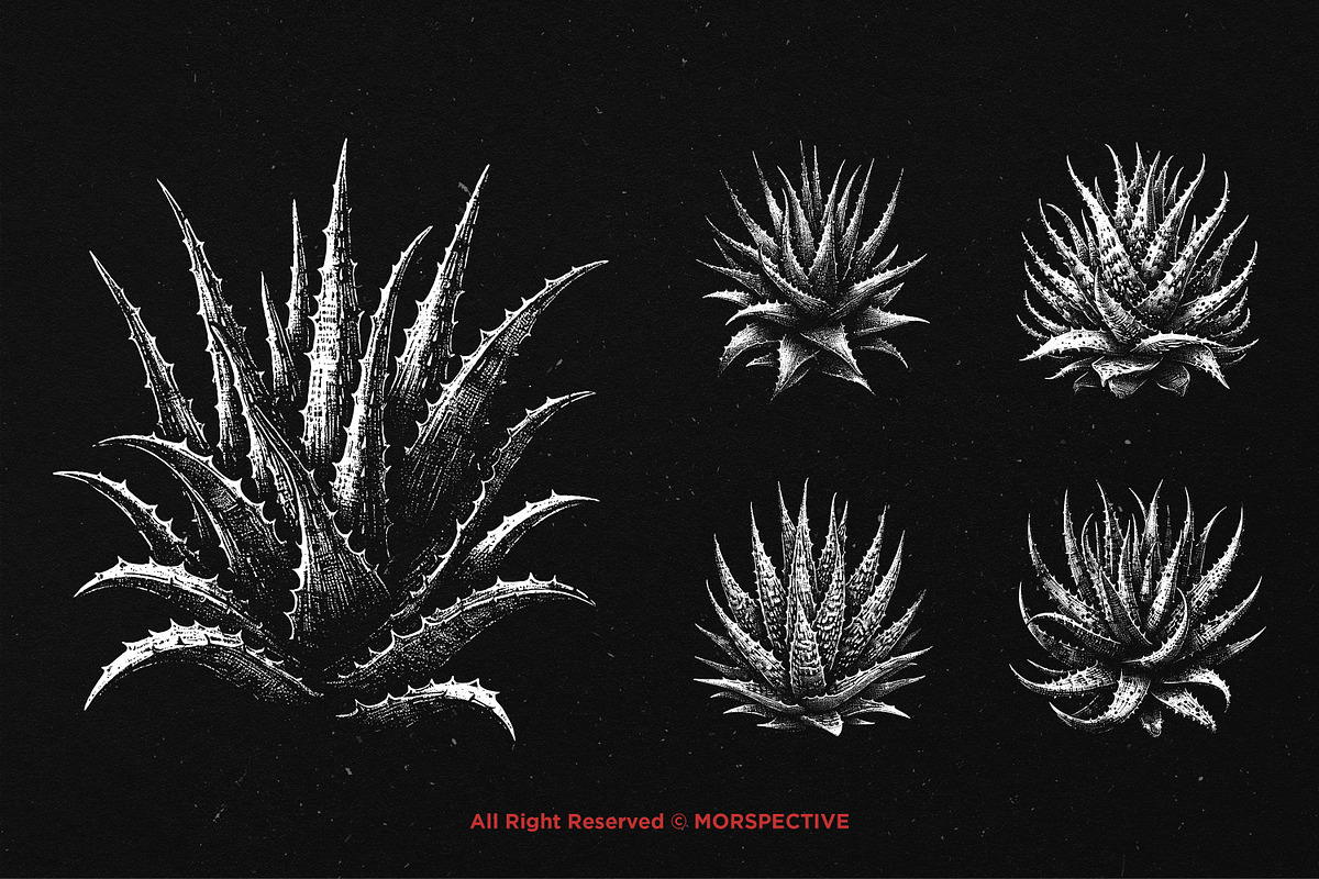 10 Bundle Dark Art Aloe Vera Cactus, an Illustration by Morspective (Photo 5 of 7)