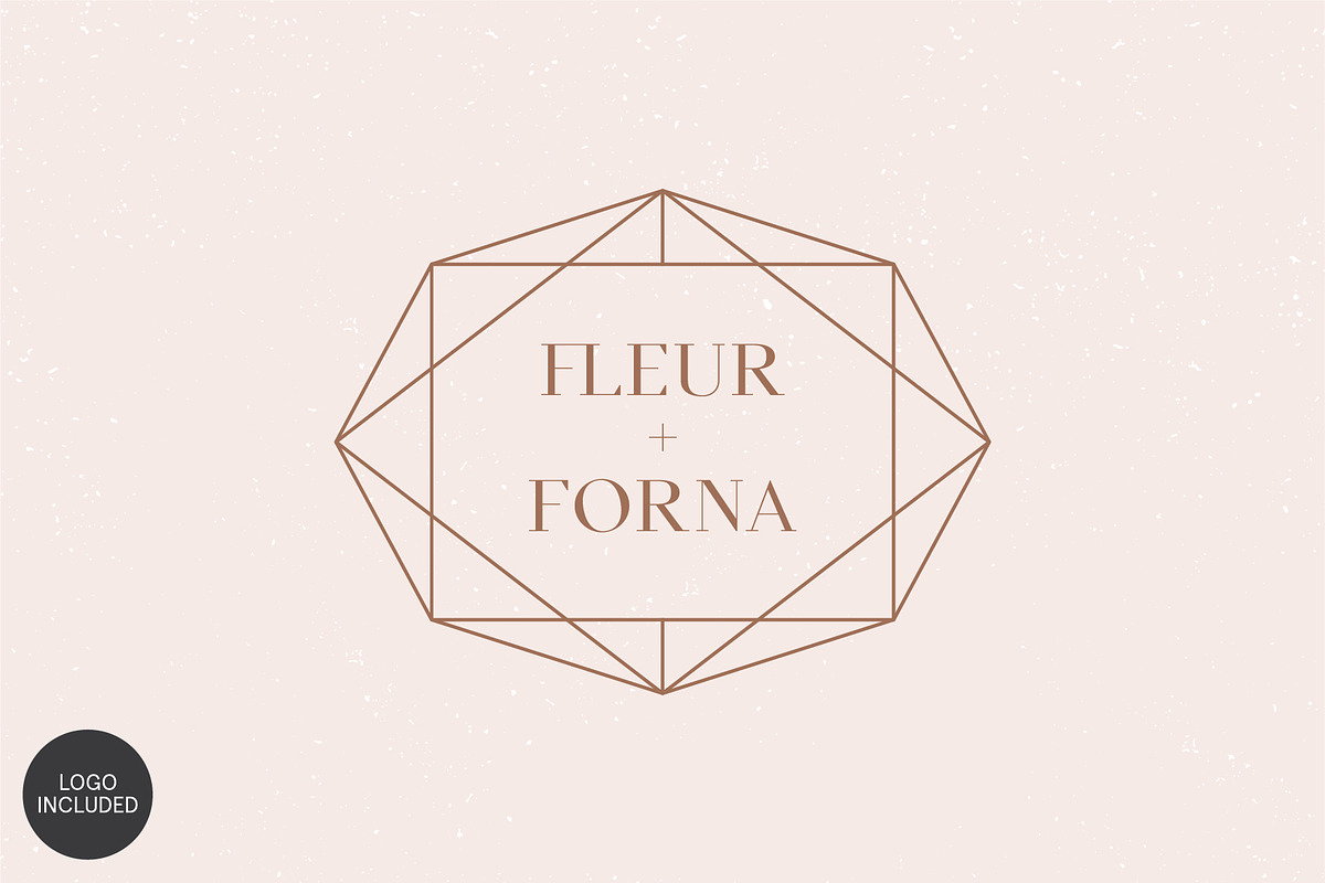 Equinox Stylish Font duo & logo set, a Slab Serif Font by Studio Aurora (Photo 11 of 13)