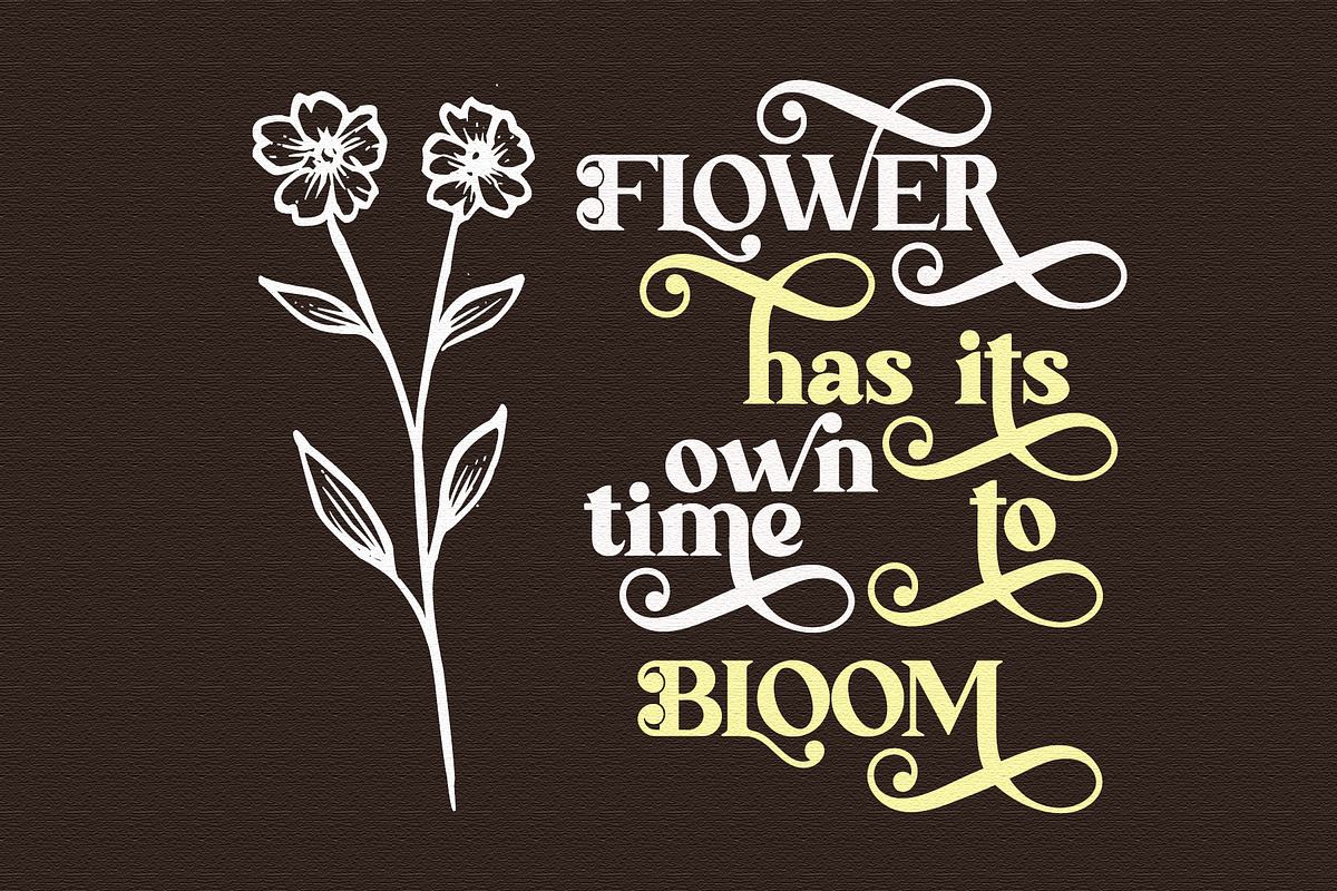 Millonia - Display Serif with Swirl, a Serif Font by Airotype (Photo 10 of 17)