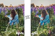 x30 Family Lightroom Presets, an Action Add-On by Ruslan Zelensky (Thumbnail 10 of 12)