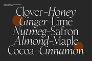 Charmatte | with italic, a Serif Font by InkwellTypeCo (Thumbnail 2 of 19)