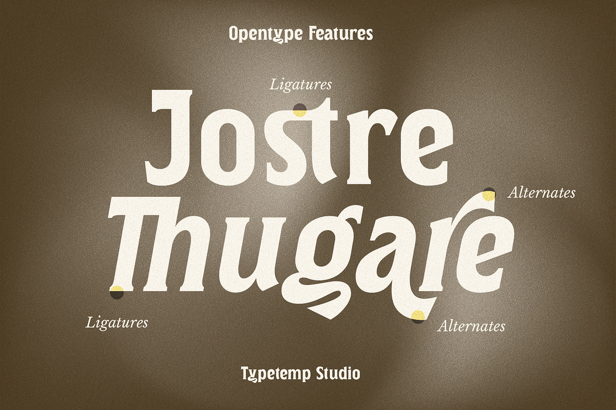 The Ghamber Classic Vintage, a Serif Font by Typetemp Studio (Photo 9 of 17)