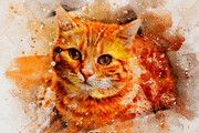 Premio - Watercolor Photoshop Action, an Action Add-On by Walllow Creatives (Thumbnail 4 of 8)