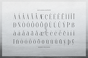 Furigale | Classic Serif, a Serif Font by gracetype_studio (Thumbnail 11 of 12)