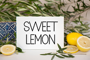 WILDWOOD, a Sans Serif Font by FreshTypeINK (Thumbnail 4 of 8)