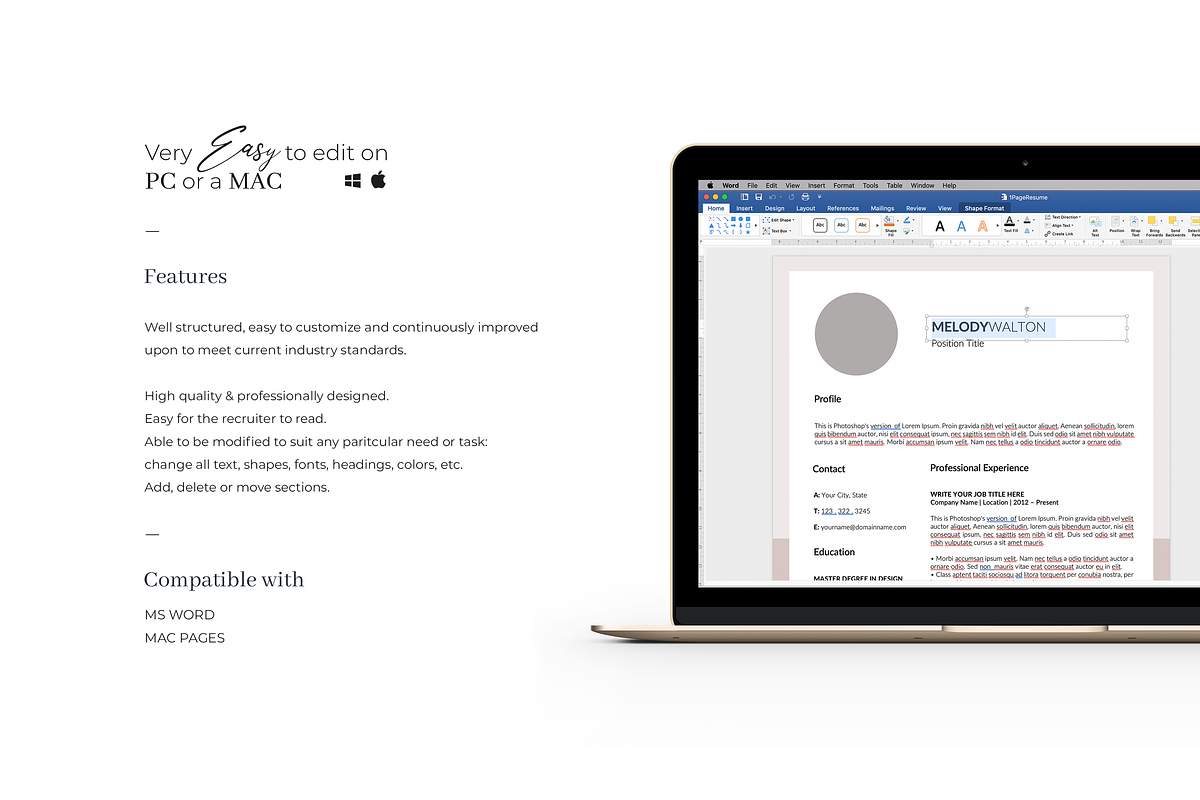 Modern Resume Template with Photo, a Resume Template by GraphicFlava (Photo 5 of 7)