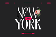 Hello Palisade Family, a Serif Font by Sans & Sons (Thumbnail 4 of 10)