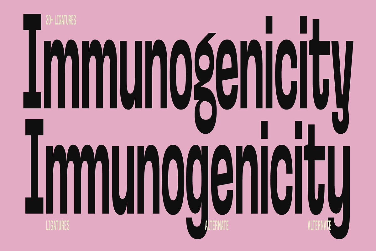 Reclymate – Extra Condensed Font, a Sans Serif Font by Zarma Type (Photo 11 of 13)