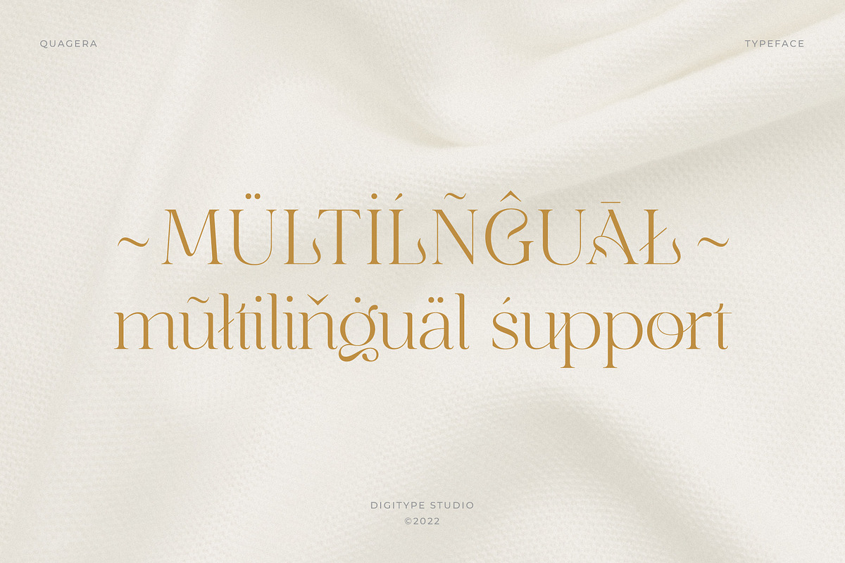 Quagera | Serif Font, a Serif Font by Digitype Studio (Photo 10 of 12)