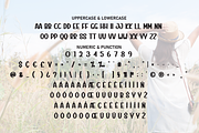 Freeday | Script Font, a Script Font by Scratchones (Thumbnail 7 of 8)