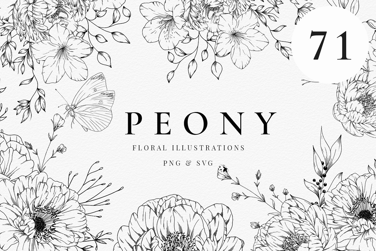Peonies and Springtime Florals, a Decorative Illustration by AW Studios (Photo 1 of 6)