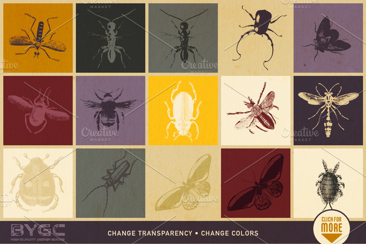 Vintage Insect Illustrations, an Illustration by BackYard Graphics Co. (Photo 5 of 10)
