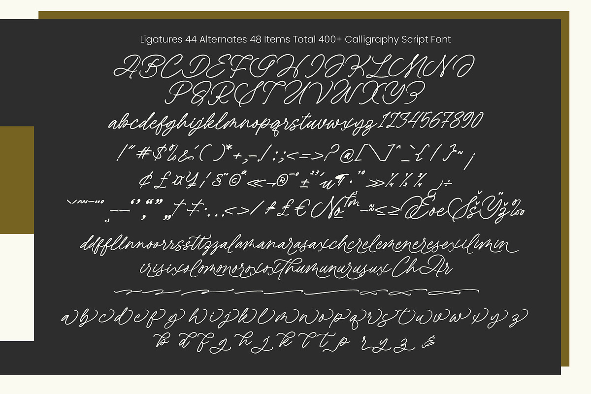 Arabella Rentharis Elegant Script, a Script Font by Letterena Studios Script (Photo 10 of 10)