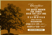 Norvin - Display Typeface, a Sans Serif Font by Letterhend Studio (Thumbnail 6 of 9)
