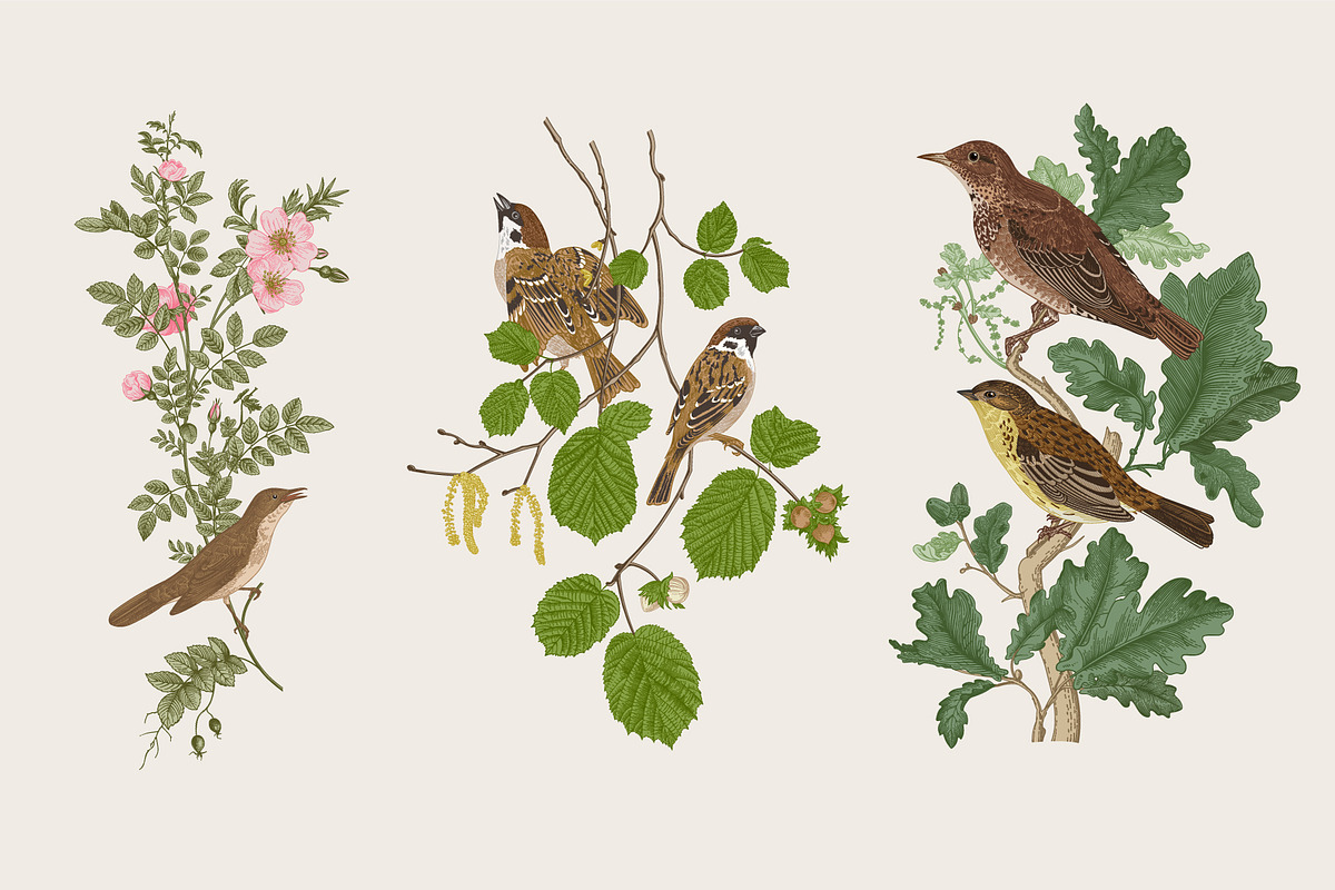 Free Birds, a Decorative Illustration by olga.korneeva (Photo 6 of 11)
