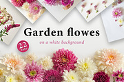 Garden flowers. 22 foto, a Beauty & Fashion Photo by olly87 (Thumbnail 1 of 6)