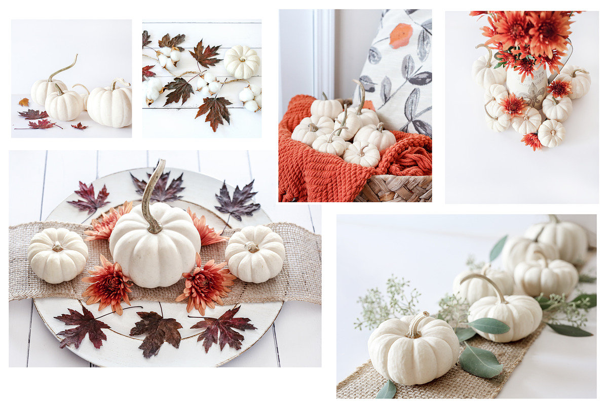 Fall Color Bundle Stock Photos, a Background Photo by SunnyTangerine Stock (Photo 6 of 10)