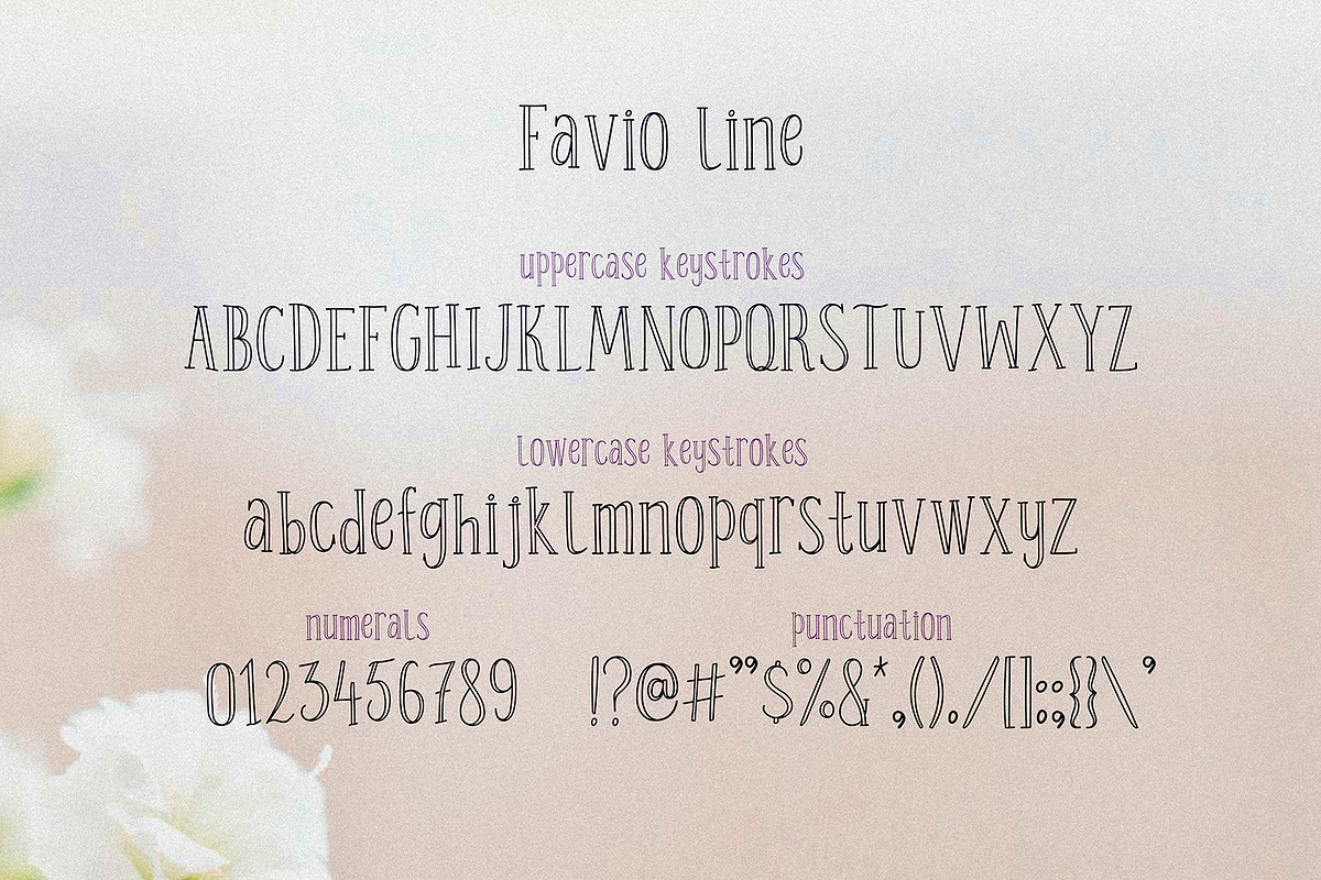 Favio - playful duo of vintage fonts, a Serif Font by Anastasia Cuza (Photo 3 of 9)