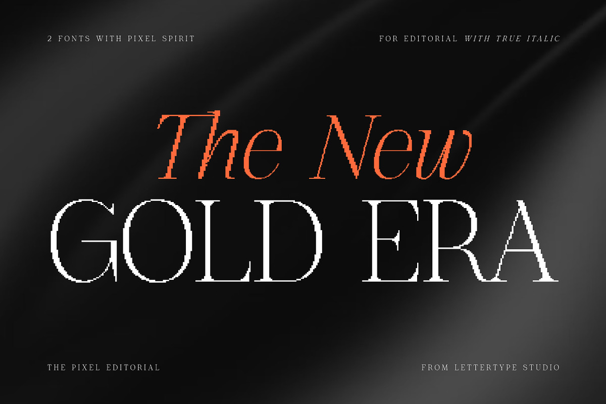 The Pixel Editorial – Modern Serif, a Sans Serif Font by Lettertype Studio (Photo 14 of 15)