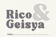 Willow. Typeface Bold Serif, a Serif Font by Kleffont Studio (Thumbnail 8 of 10)