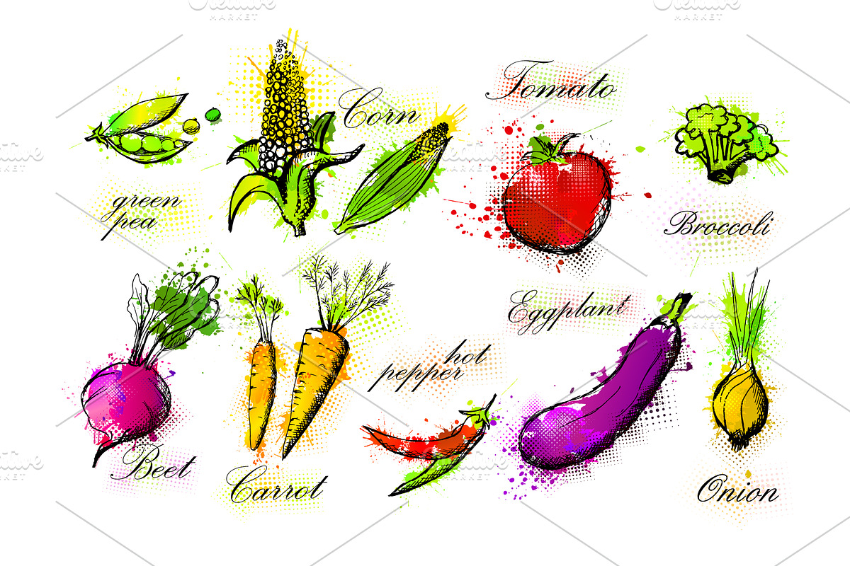 Vegetable set hand drawn. Not AI, a Food Illustration by Nenahliadava Design